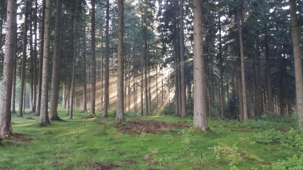 Schwarzwald Geht Immer Fewo 60 Qm Mit Grossem Suedbalkon, Wlan Und Magenta Tv Schönwalde 외부 사진